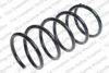  4066821 Coil Spring